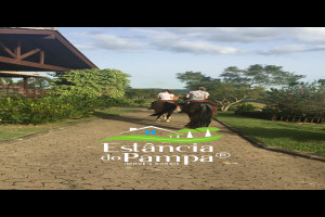 CABANHA À VENDA NO RS.00_00_52_07.Quadro065_8af075ab40df0417f02e7aefa2f84fdbc1df4ccf.jpg